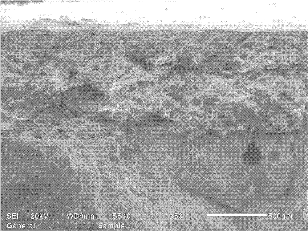 Inorganic insulation coating for large dam surface, and preparation method thereof