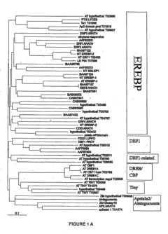 Method for improving plant tolerance to environmental stress