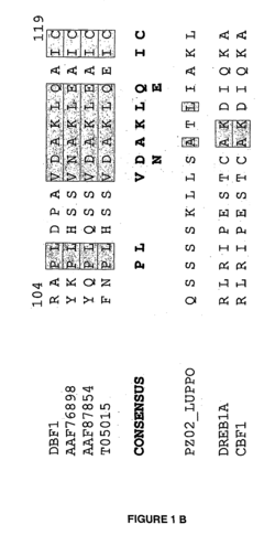 Method for improving plant tolerance to environmental stress