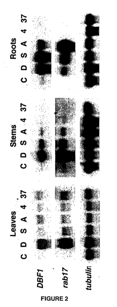 Method for improving plant tolerance to environmental stress