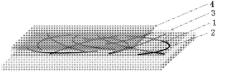 Nanometer silver transparent electrode material and preparation method thereof