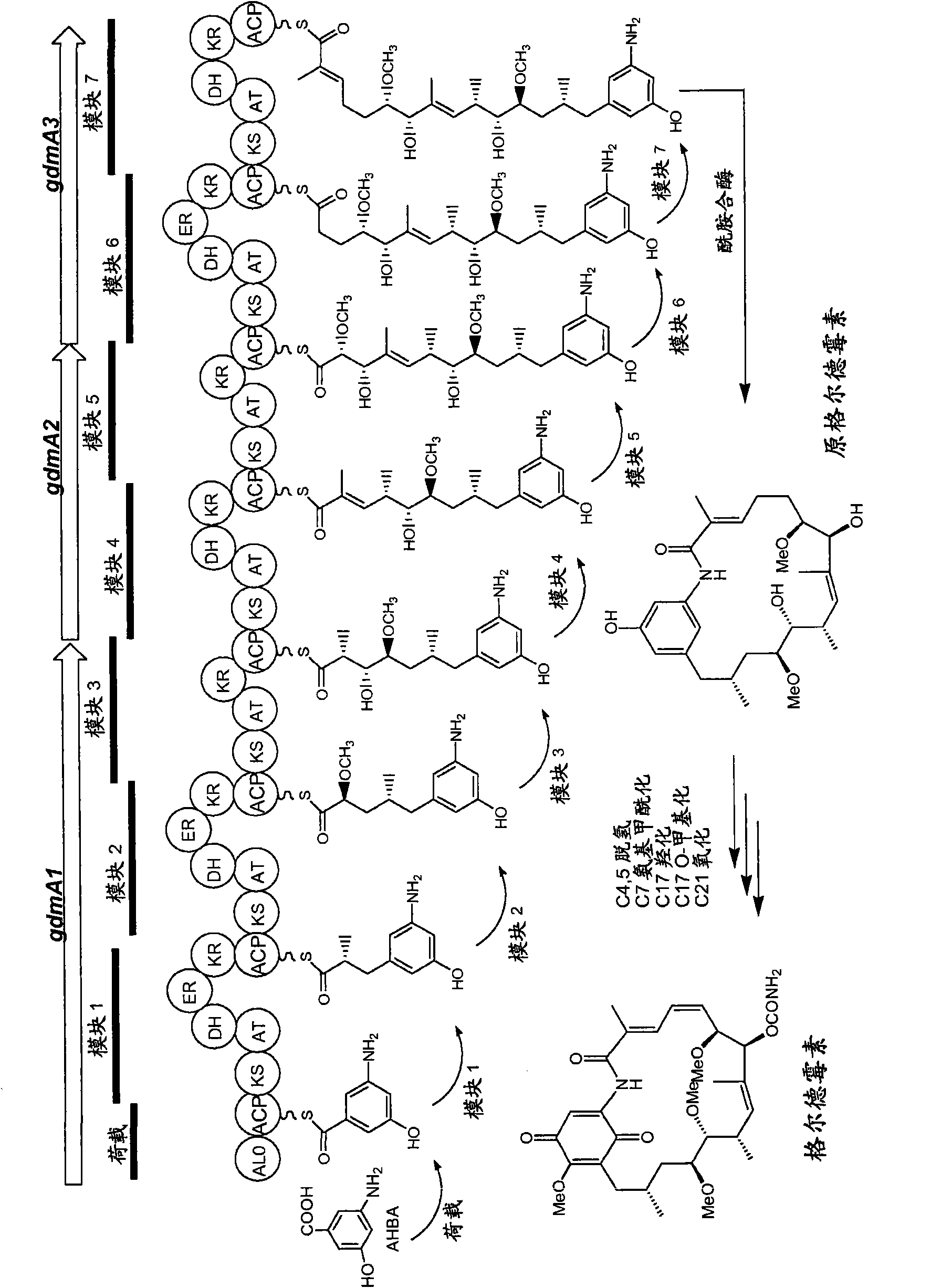 Novel compounds and methods for their production