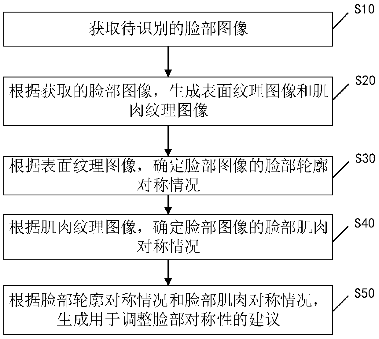 Method, device, storage medium and terminal equipment for facial symmetry recognition