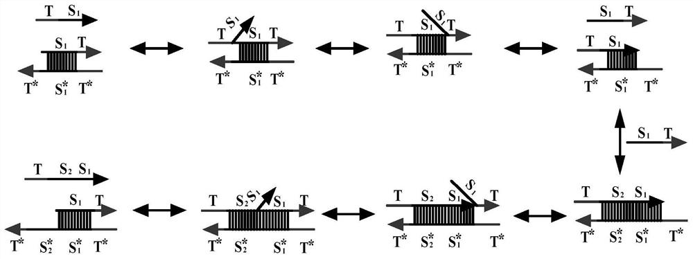 The Realization Method of the Molecular Circuit of Two-bit Gray Code Subtractor Based on DNA Strand Replacement