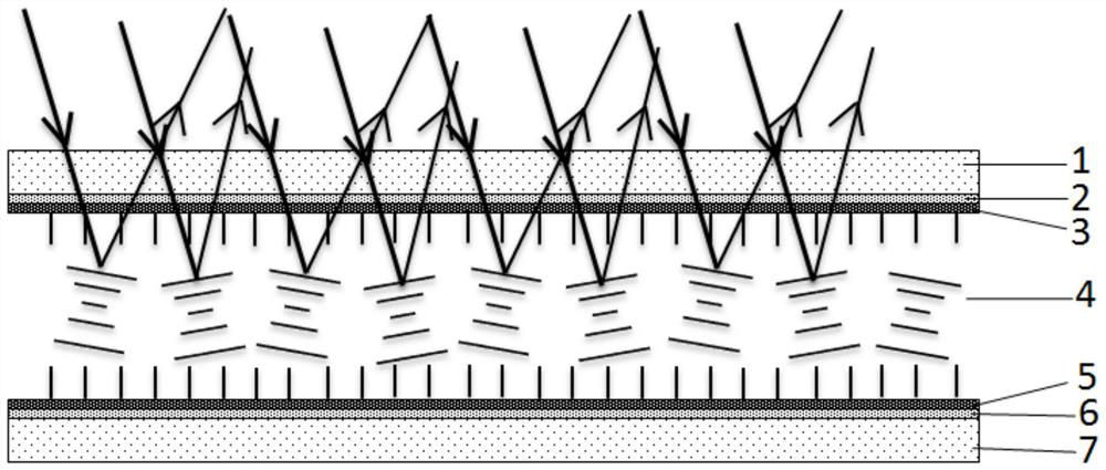 Wide-viewing-angle bistable liquid crystal erasable display device and display method thereof