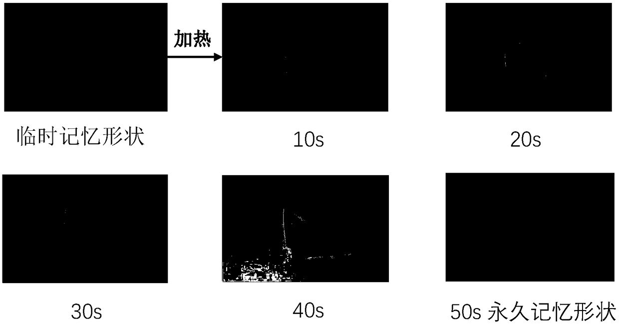 Dual anti-counterfeit material, anti-counterfeit label and preparation method and anti-counterfeit detection method