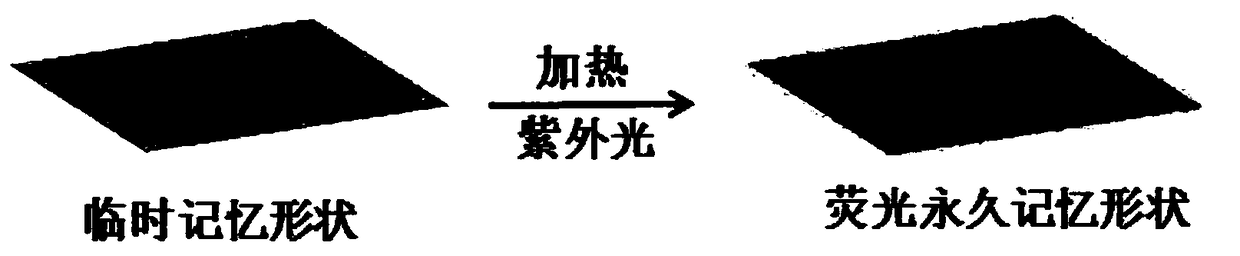 Dual anti-counterfeit material, anti-counterfeit label and preparation method and anti-counterfeit detection method