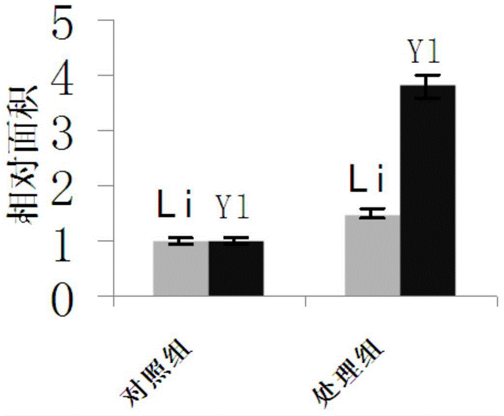 A detection model of zebrafish embryo alcoholic liver and its construction method and application