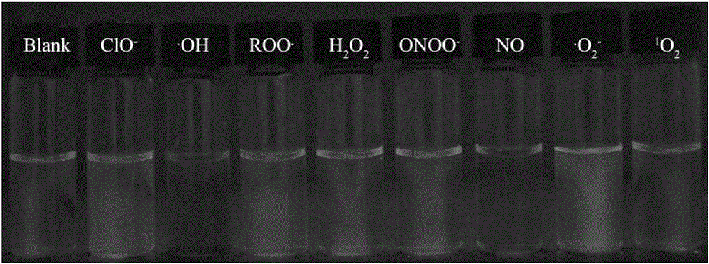 Difunctional fluorescent probe, preparation method and application