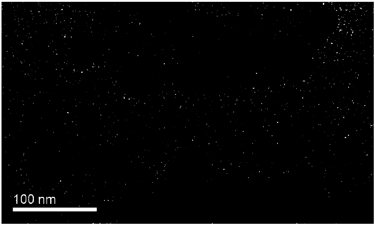 Preparation method of green synthesis of nano zero-valent iron with extraction liquid of nephrolepis auriculata and application of the nano zero-valent iron