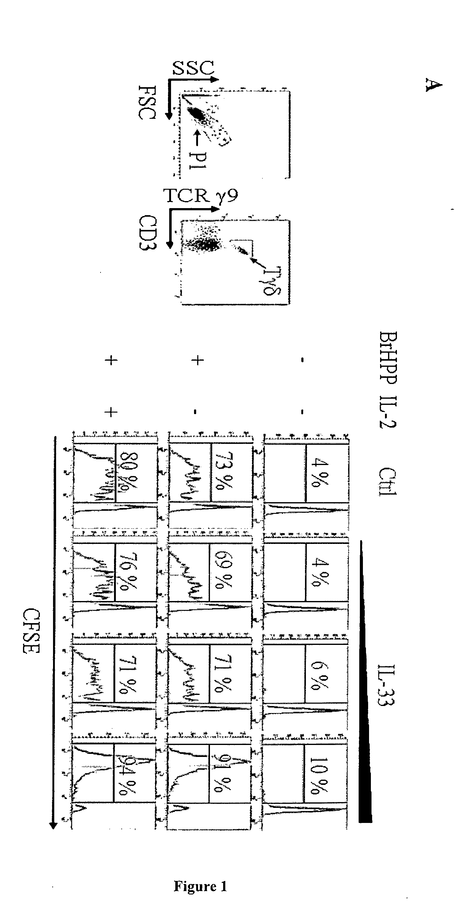 Method for inducing il-2-free proliferation of gamma delta t cells
