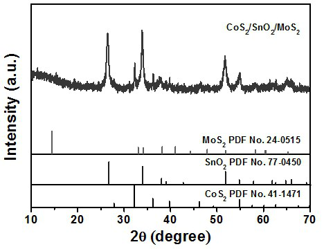 A kind of preparation method of 3d porous cobalt tin molybdenum trimetallic catalyst