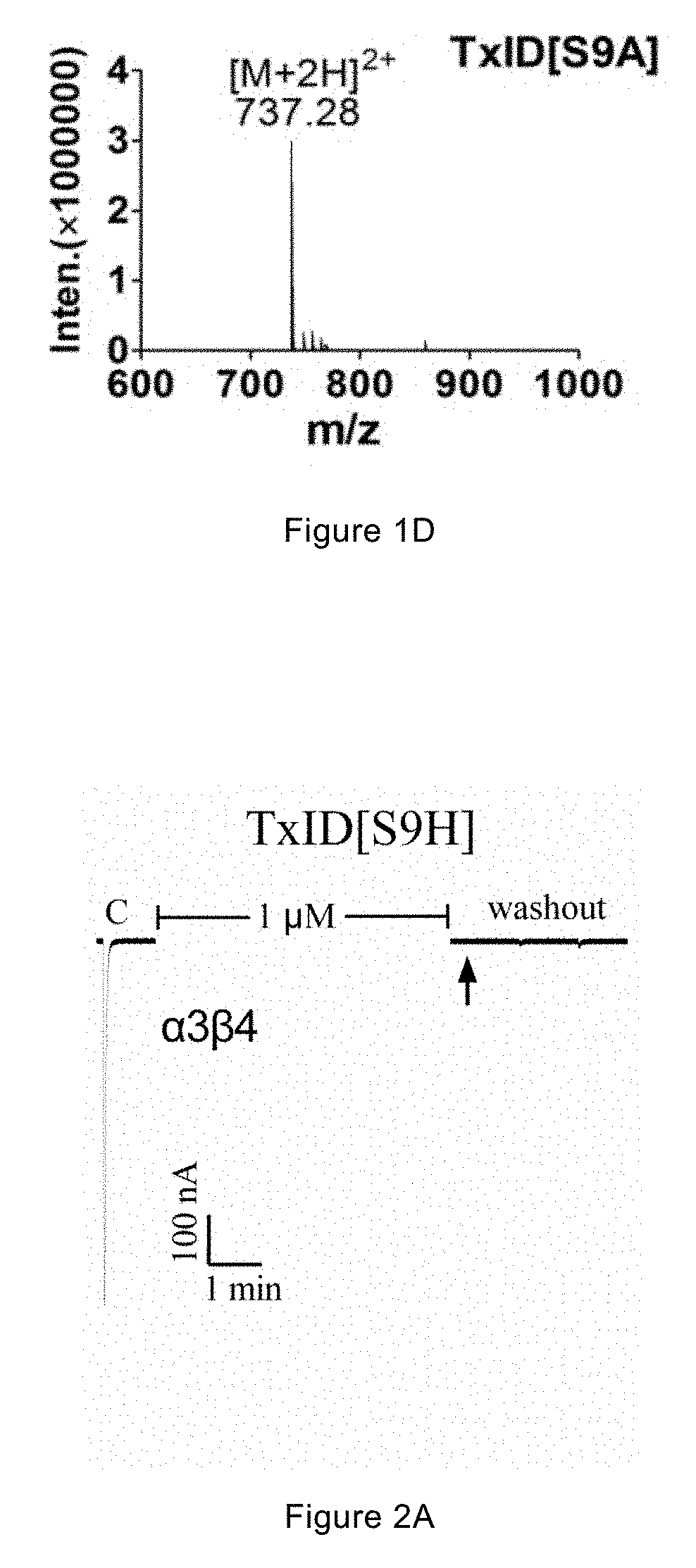 NOVEL MUTANT OF a-CONOTOXIN PEPTIDE TxID, PHARMACEUTICAL COMPOSITION AND USE THEREOF