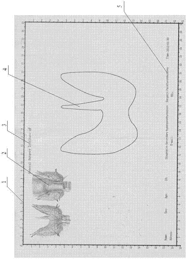 Rapid surgical specimen recording paper and recording method thereof