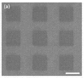Method for preparing patterned phospholipid membrane array on ITO (indium tin oxide) conductive glass