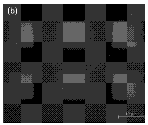 Method for preparing patterned phospholipid membrane array on ITO (indium tin oxide) conductive glass
