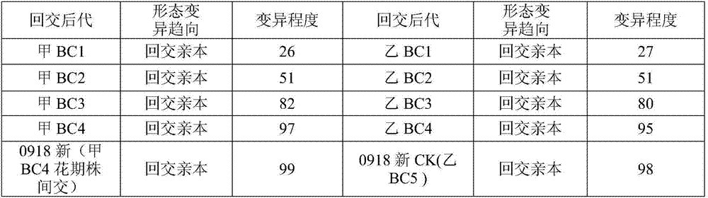 Breeding method for broccoli