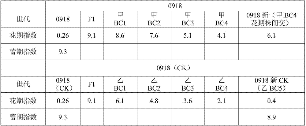 Breeding method for broccoli