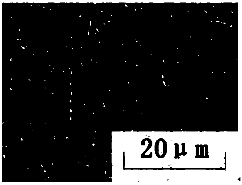 Gold phase tissue method for displaying martensite-austenite phase of steel