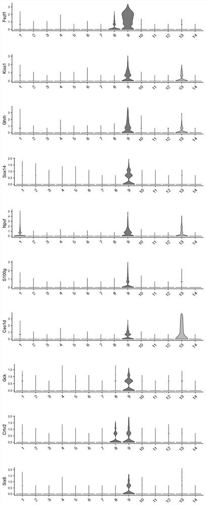 Method for separating rat hypothalamic arcuate nucleus neurons