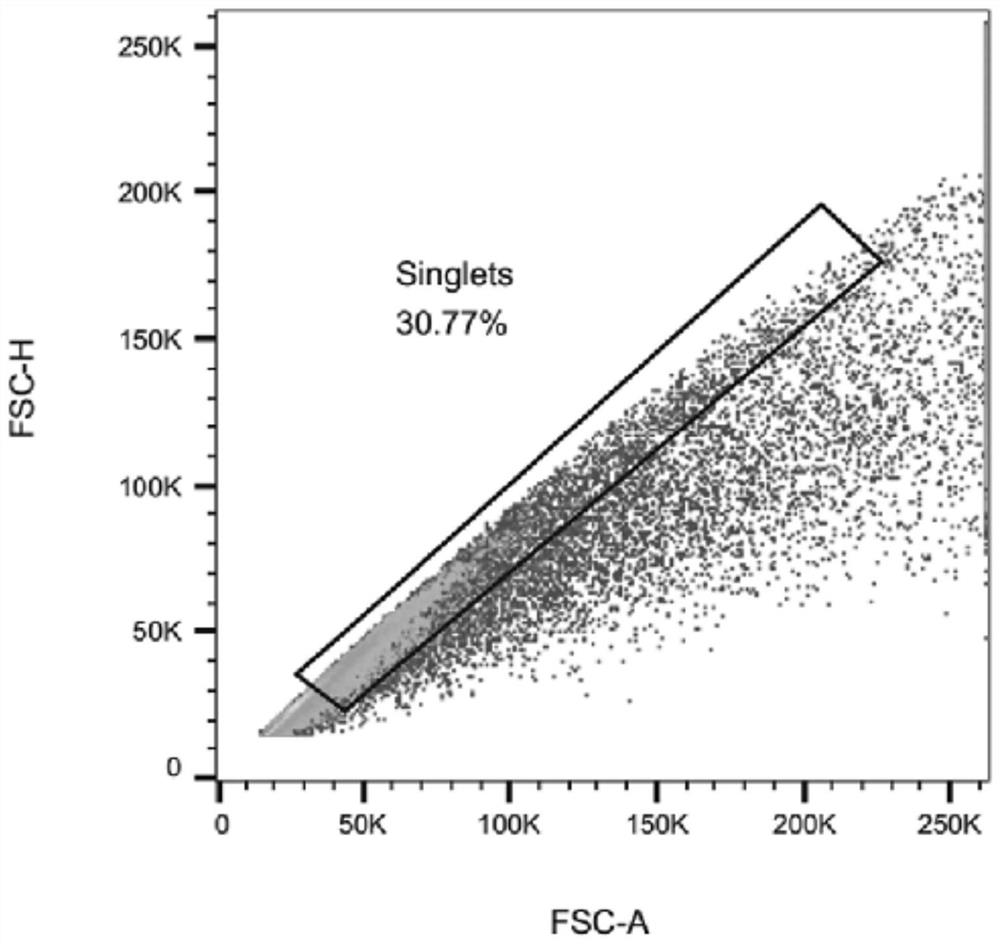 Method for separating rat hypothalamic arcuate nucleus neurons