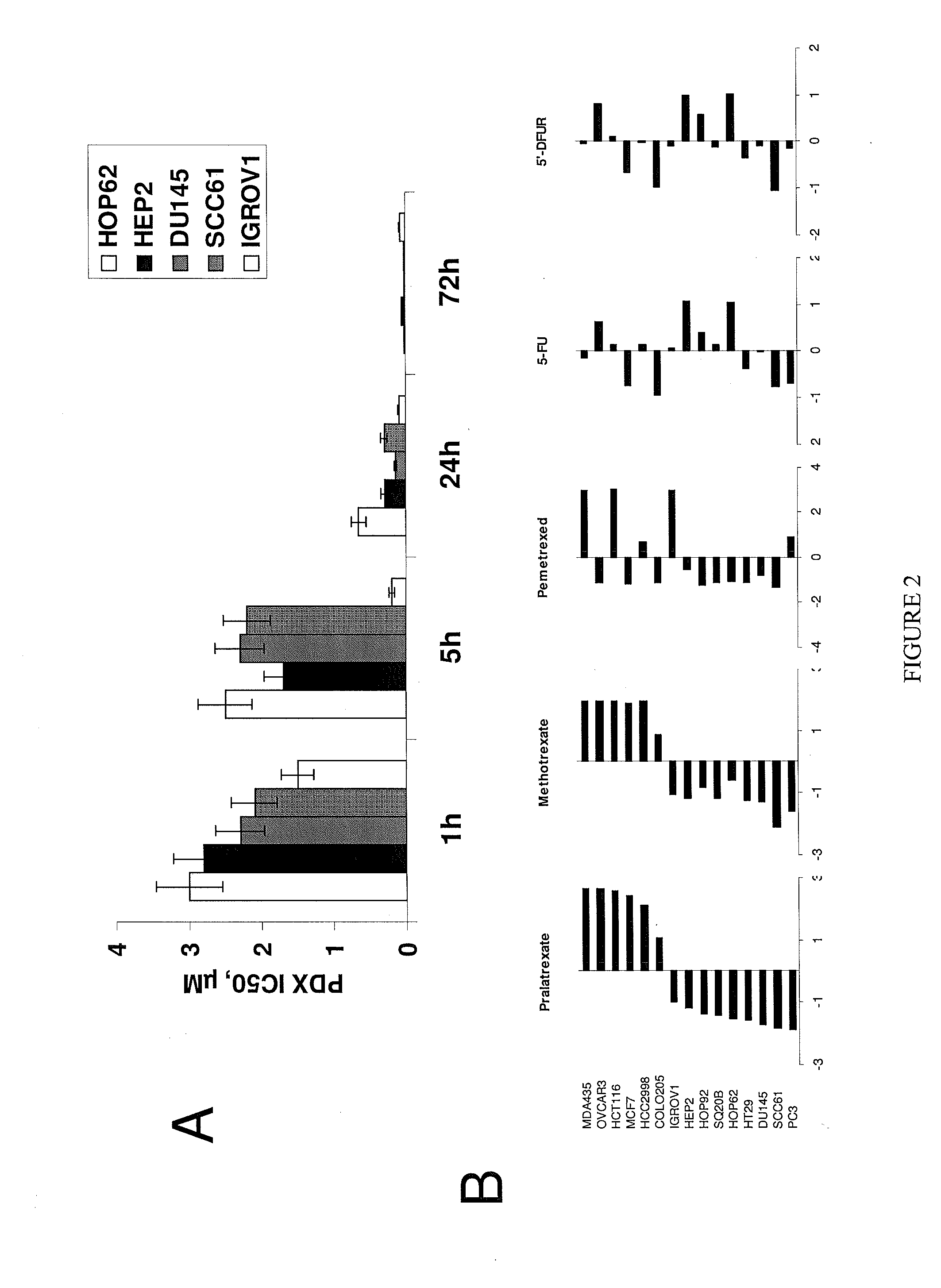 Methods for assessing cancer for increased sensitivity to 10-propargyl-10-deazaaminopterin