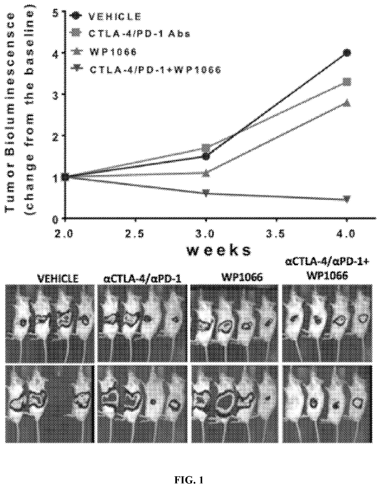 Combinations of transcription inhibitors and immune checkpoint inhibitors for treatment of disease