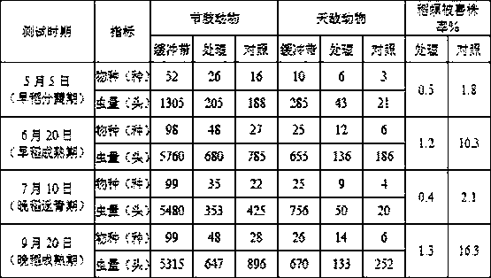 Flower and plant combination for increasing natural enemies and controlling pests in double-cropping rice field in Central China and application