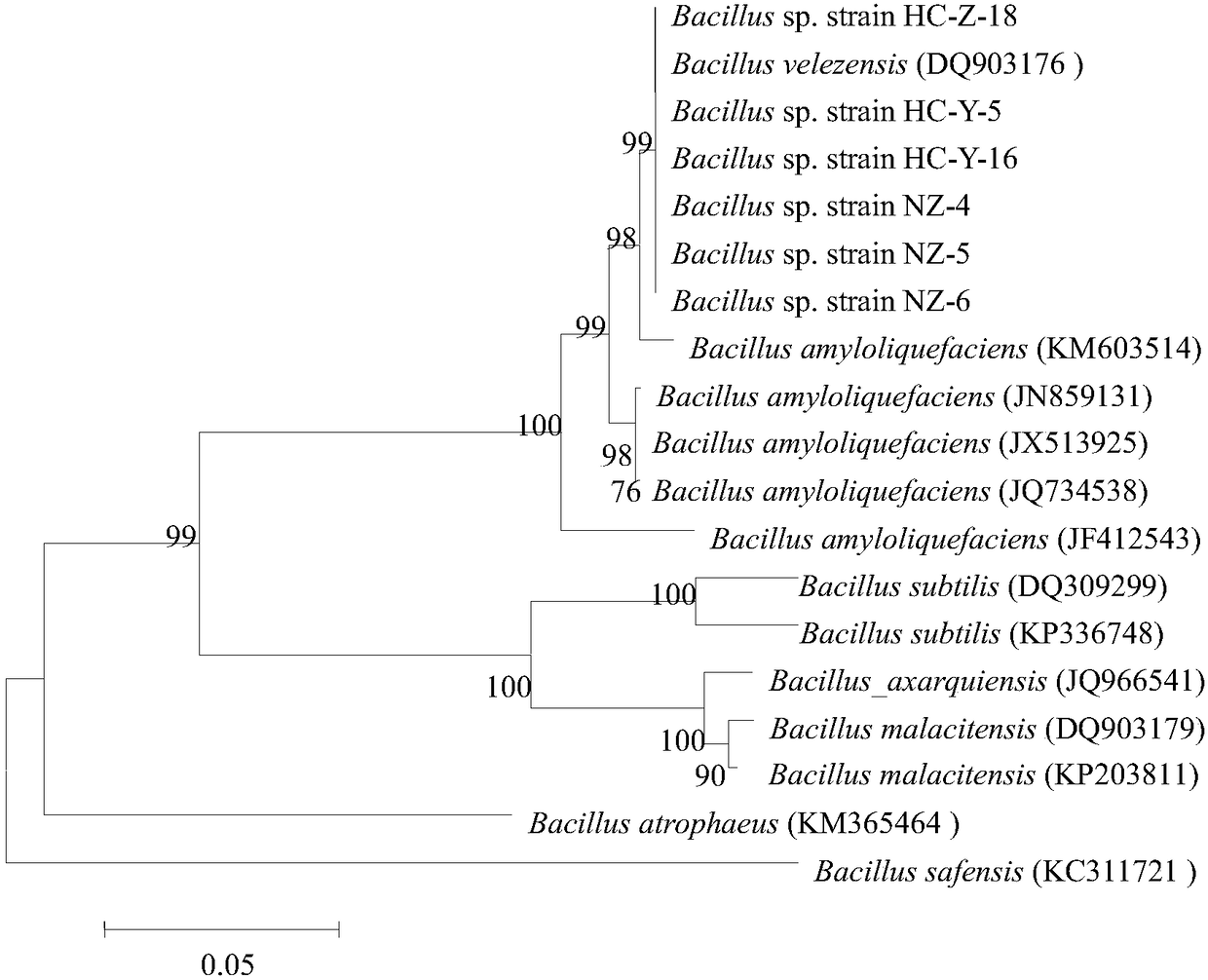 Antagonistic bacterium NZ-4 for wilt of potatoes and its application
