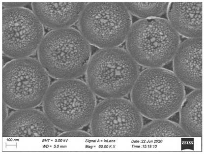 A silver-coated bowl-shaped molybdenum disulfide composite gold nanoparticle sERS substrate and its preparation method and application