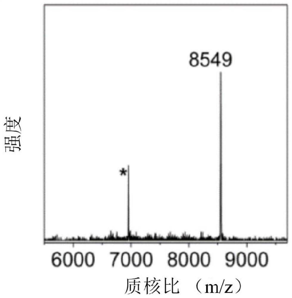 A method for treating organic ligands on the surface of gold atom clusters