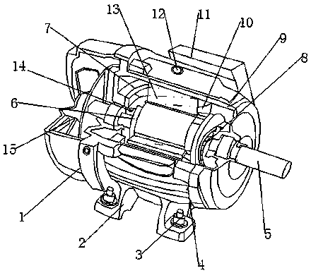 A permanent magnet motor with long service life
