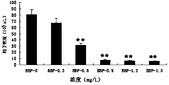 Application of zebra fish in detection of reproduction toxicity of BBP (Butyl Benzyl Phthalate) and method for rapidly detecting reproduction toxicity of BBP