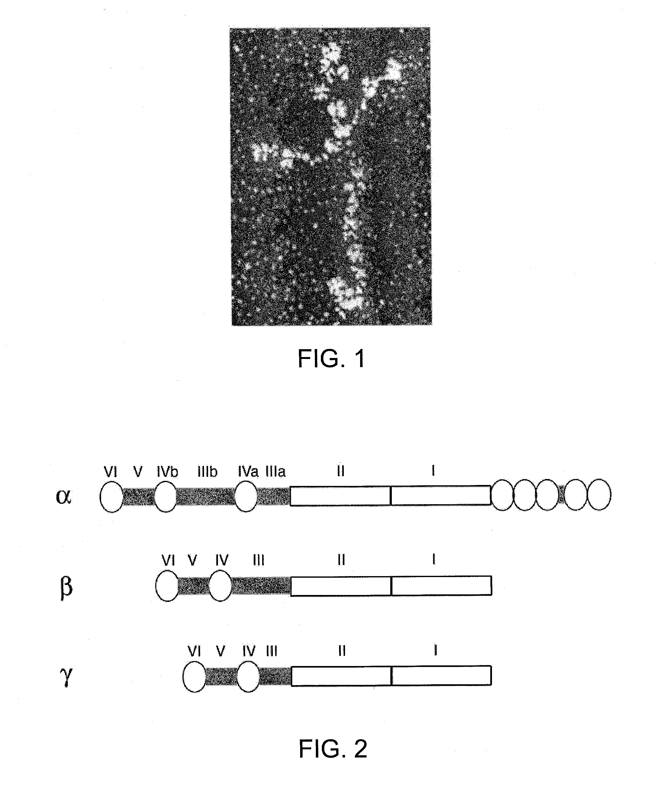 Methods of enhancing genetic diagnosis