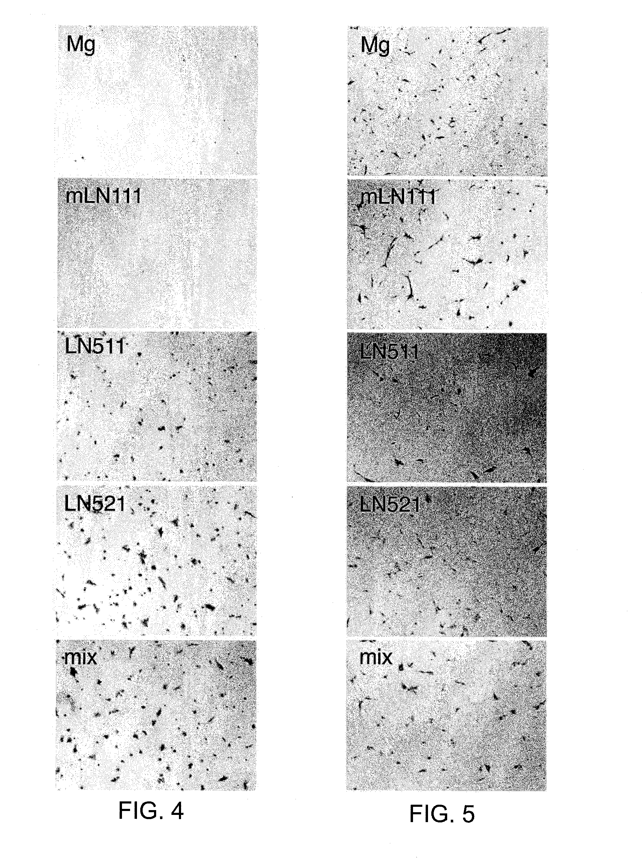 Methods of enhancing genetic diagnosis