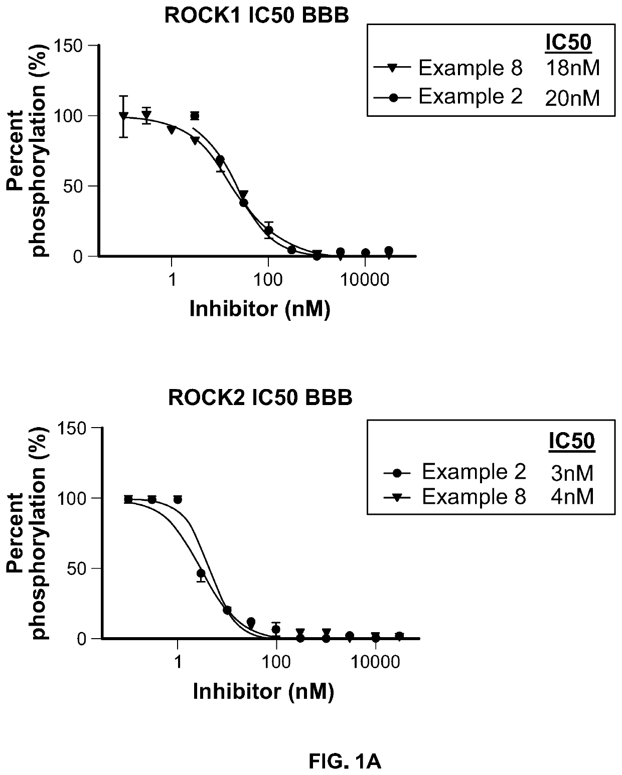 Inhibitors of Rho associated coiled-coil containing protein kinase