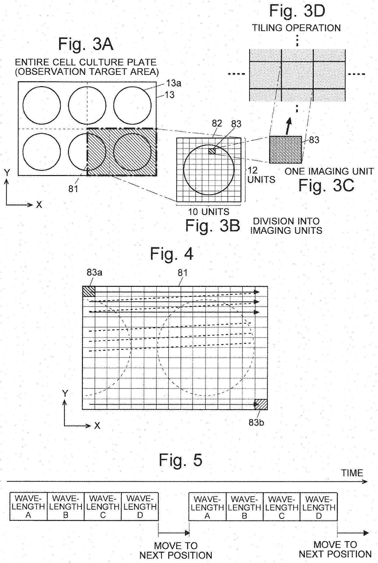 Cell observation device