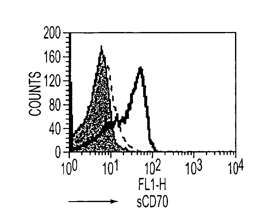 Human immune therapies using a CD27 agonist alone or in combination with other immune modulators