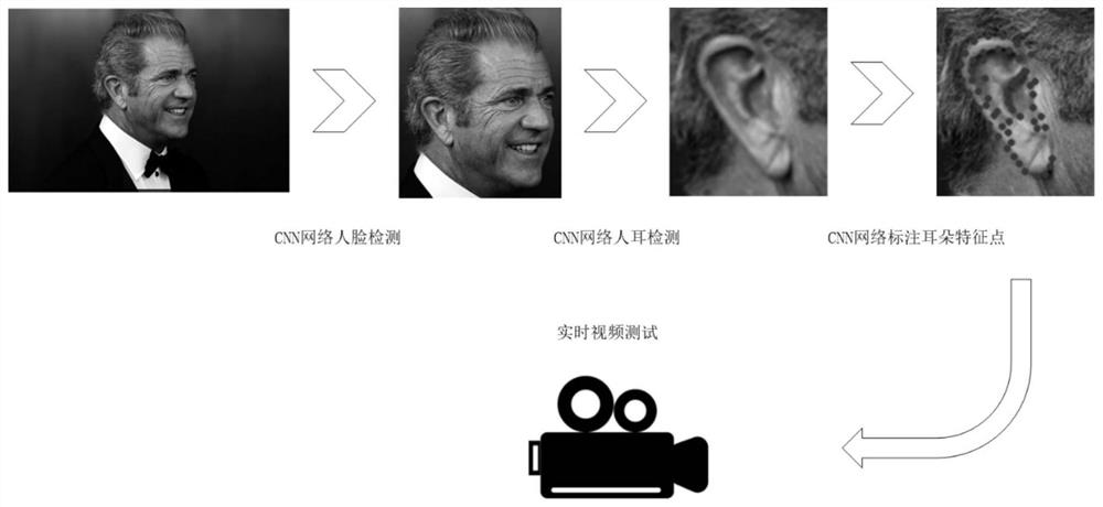 Ear recognition and tracking method based on convolutional neural network