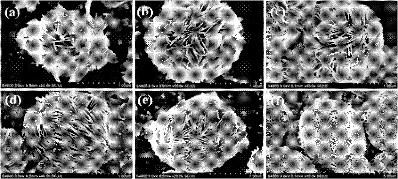 Bismuth oxybromide particles with three-dimensional flower-like microstructure and preparation method and use thereof