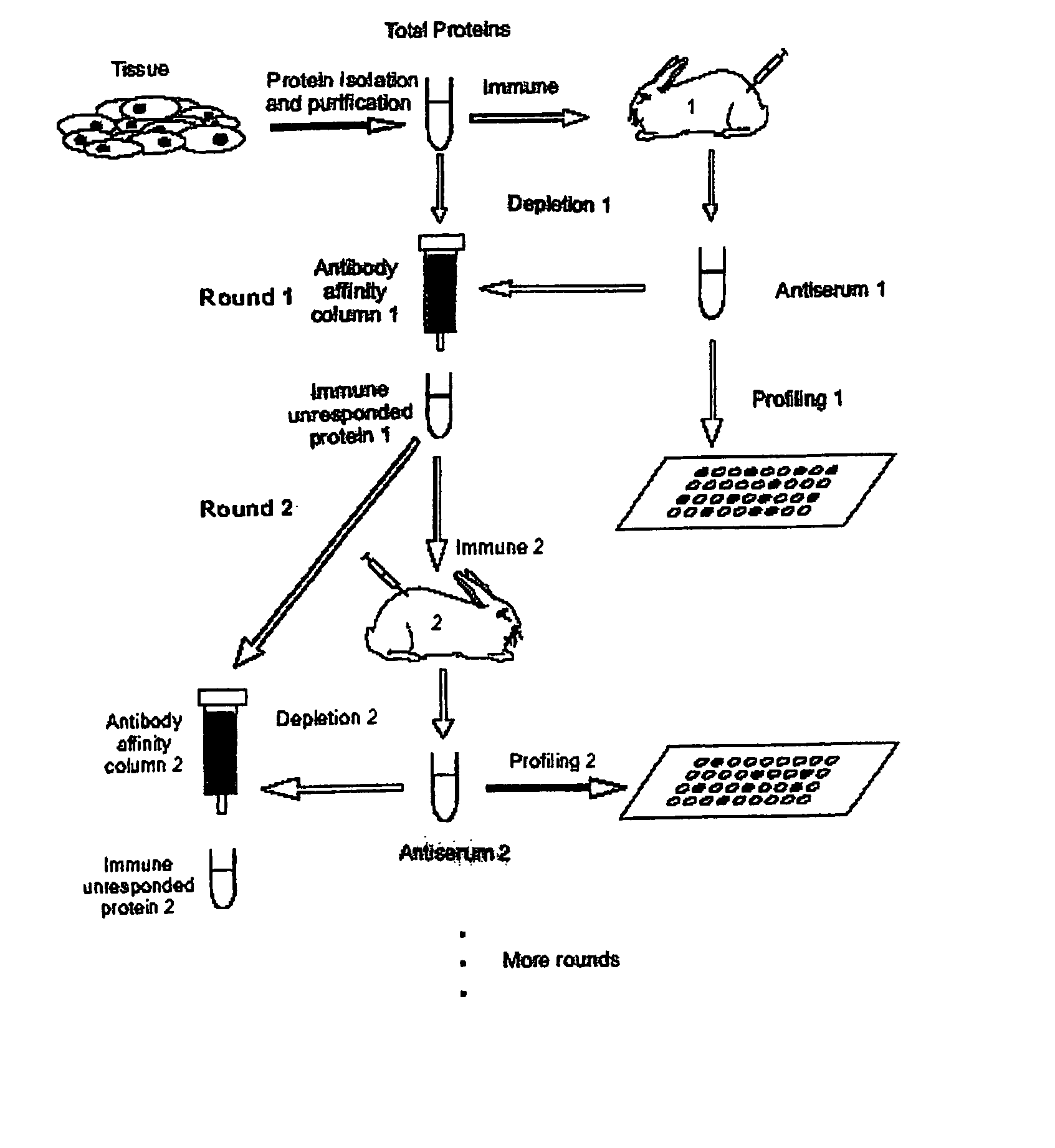 Method for proteomic analysis utilizing immune recognition and cumulative subtraction