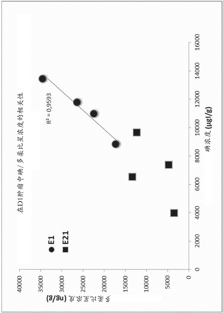Composition for vectorizing an anti-cancer agent