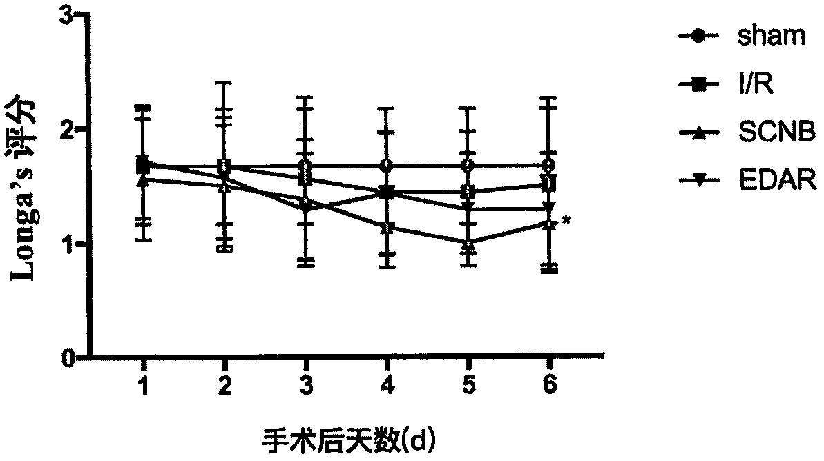 Application of Langduning b in the preparation of drugs for preventing and treating diseases related to nerve cell damage