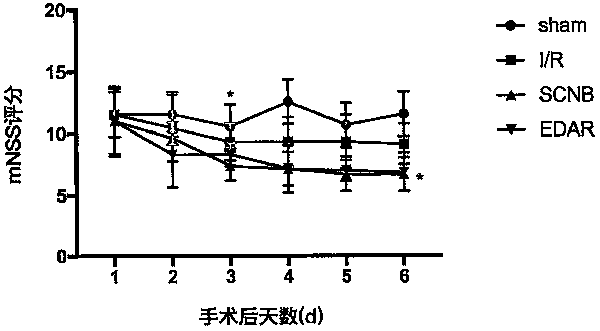 Application of Langduning b in the preparation of drugs for preventing and treating diseases related to nerve cell damage