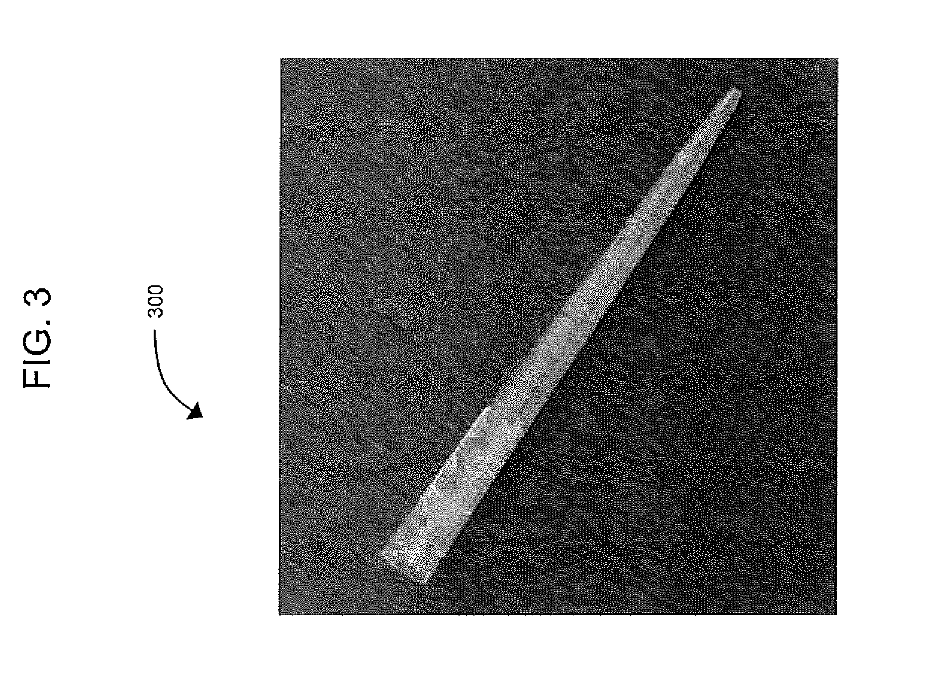 Method and apparatus for identification of bacteria