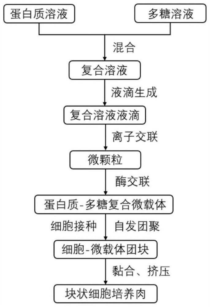 Microcarrier for three-dimensional culture of cells as well as preparation method and application of microcarrier