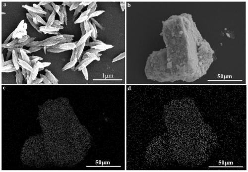 Gadolinium chelated tungsten oxide fusiform nano composite material as well as preparation method and application thereof