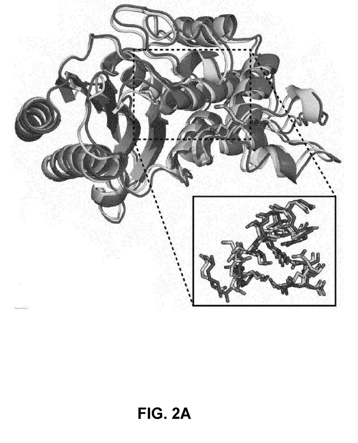 Methods of protein docking and rational drug design