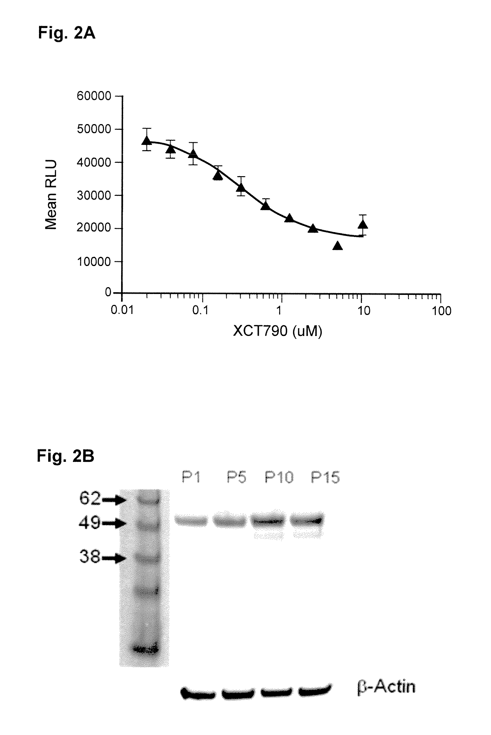 Assays for nuclear hormone receptor binding