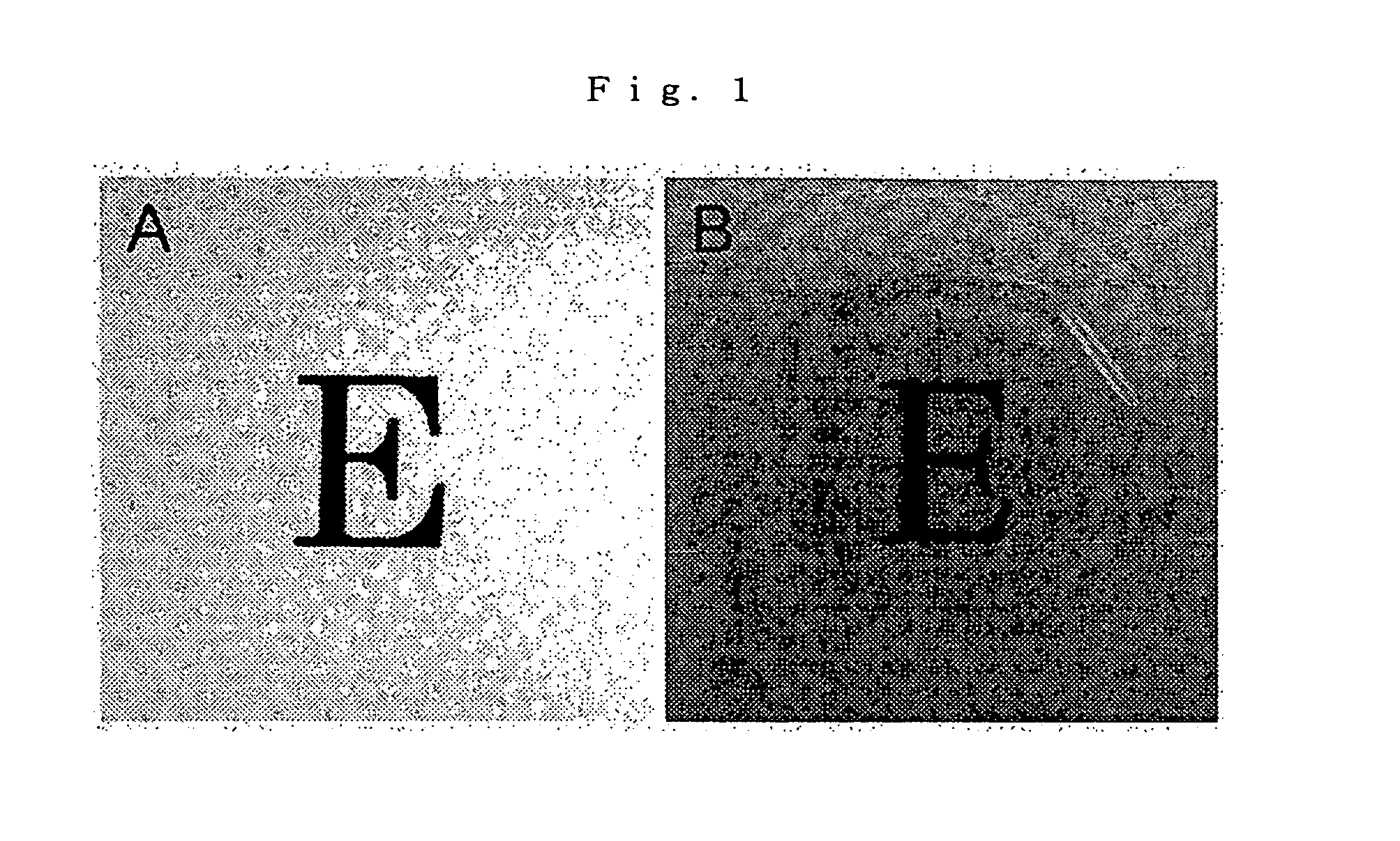 Laminate of Cultured Human Corneal Endothelial Cells Layer and Method for Manufacturing Same